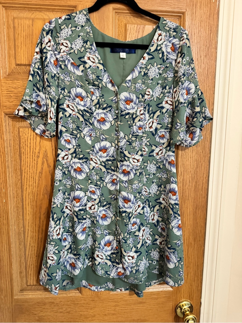 Blue Rain Sage Green Floral V-Neck Tunic